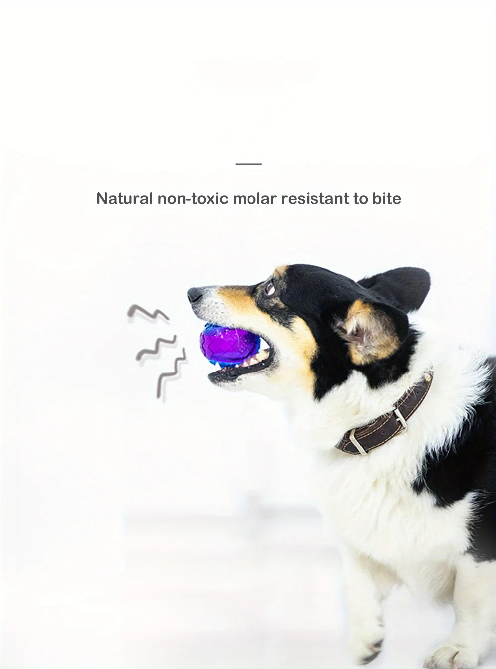Unzerbrechlicher Gummi-Quietschball für Hunde – Langlebig, Federnd & Robust für Outdoor-Spiele, Perfekt Größe für Kleine & Große Hunderassen – Detail 6