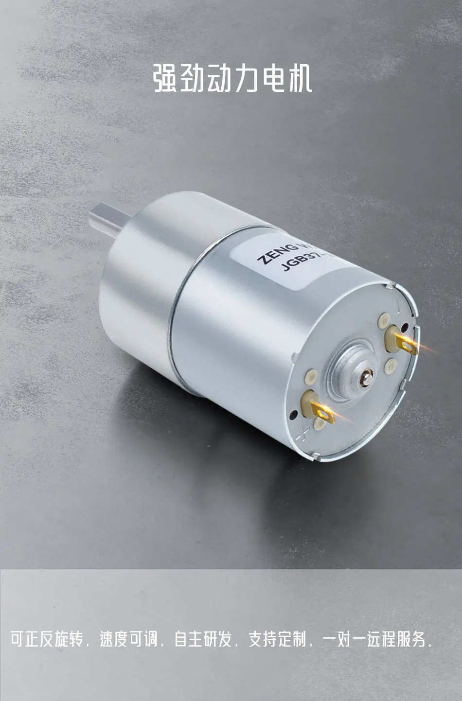 12V 24V Micro Geared Motor High Torque Metal Gearbox, Brushed DC Motor