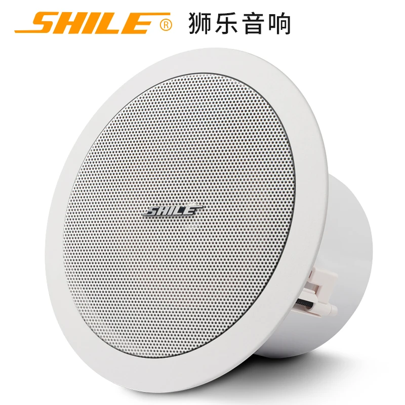 8inch high-quality steel stamped and formed  constant resistance hanging ceiling speaker