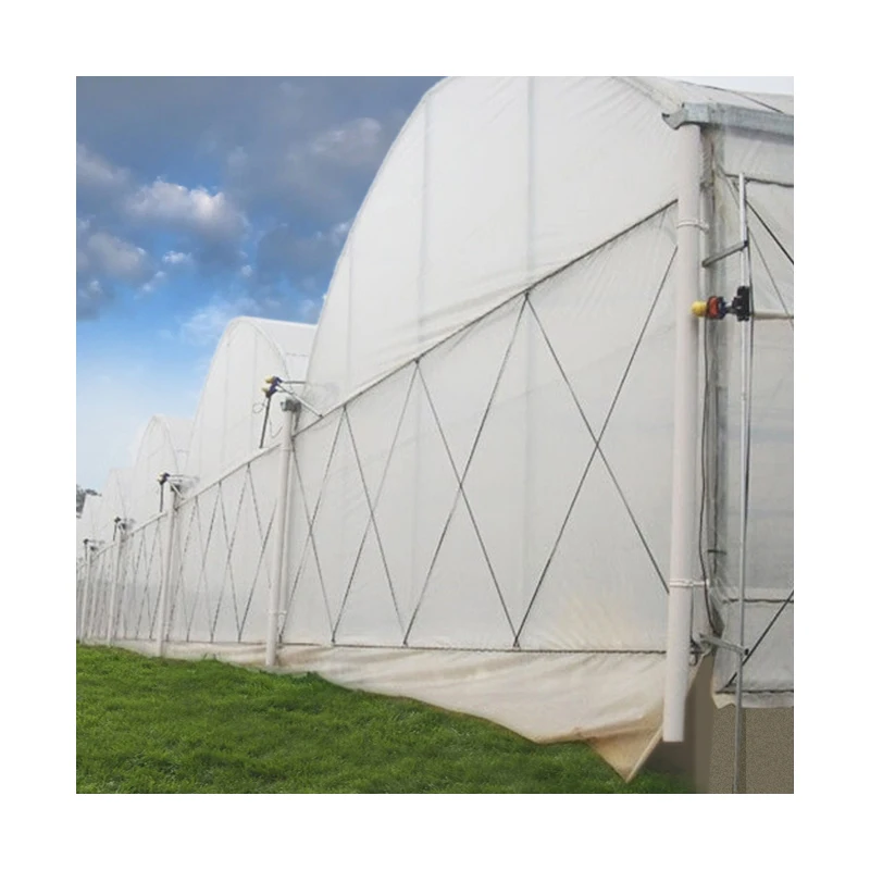 2025Factory DC24V 100W Rullo Elettrico Serra Film Elettrico Roll up Motore Elettrico Flim Roller