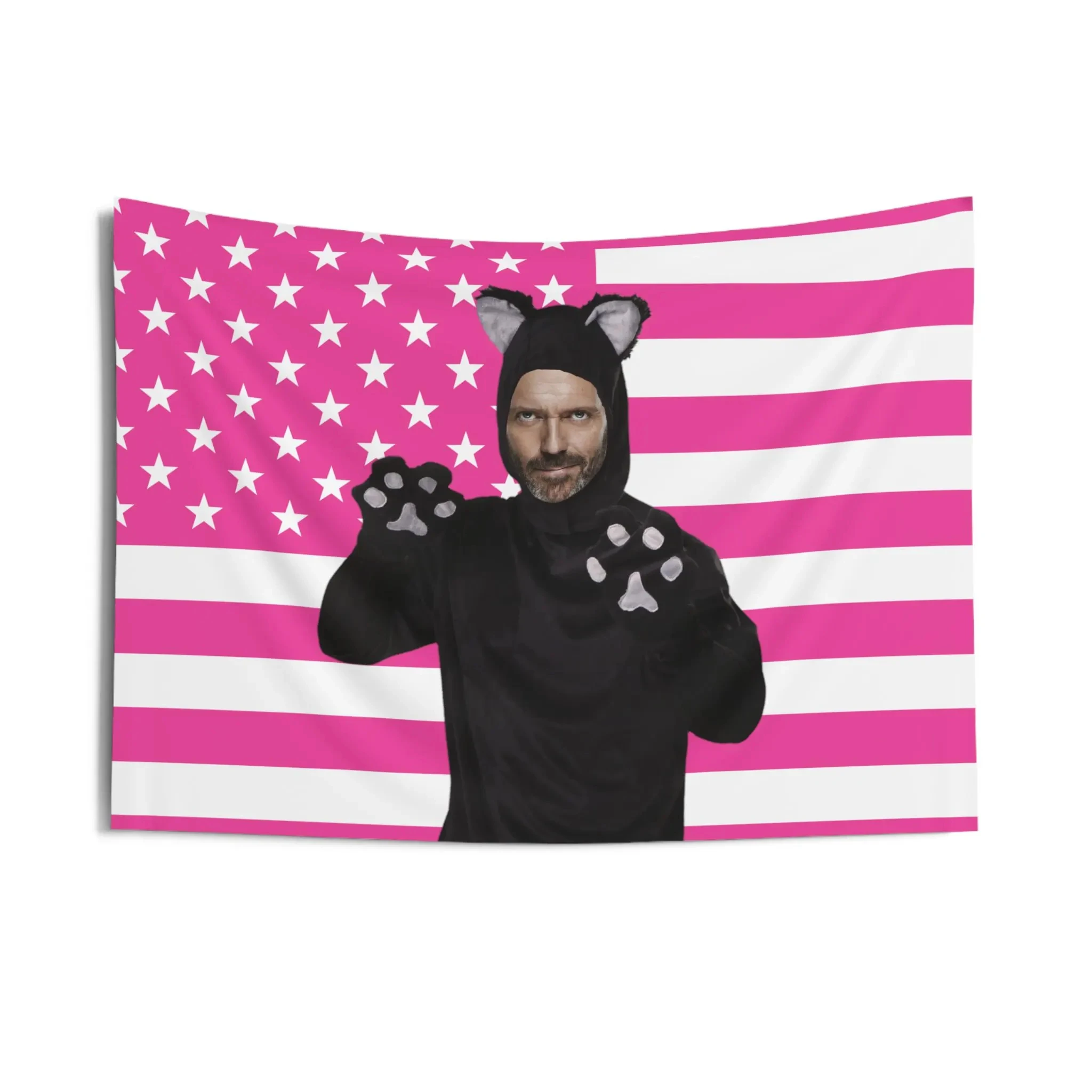 House Housecat Meme Personagem Tapeçaria Pendurada na Parede Leve Decoração de Casa para Quarto Sala de estar Dormitório Tapeçaria de Escritório