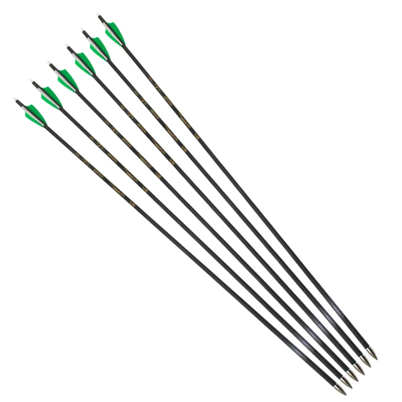 

Archery Pinals Practice Pure Carbon Arrows For Beginner Spine 300 340 400 500 600 700 ID6.2mm Competitive Recurve Shooting 12Pcs