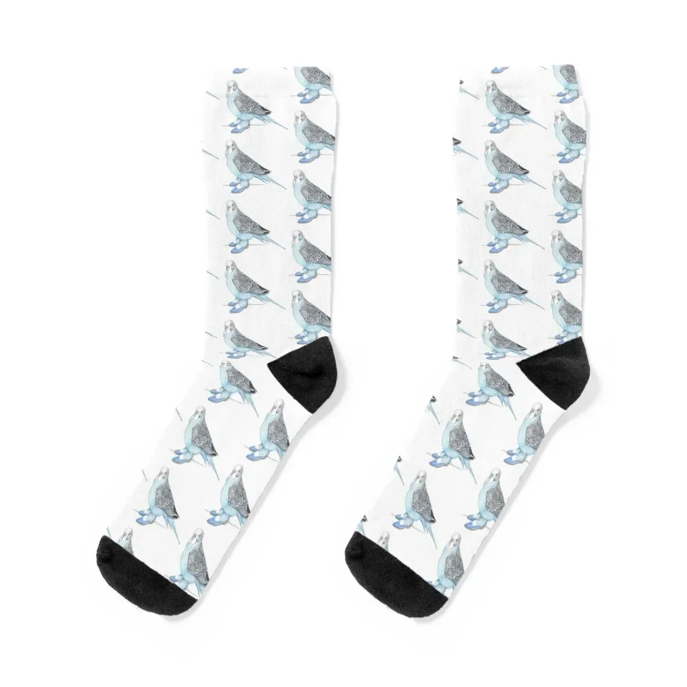 

Budgie in Blue 2-toned wingtips Socks christmas gift gifts tennis cool Men's Socks Women's