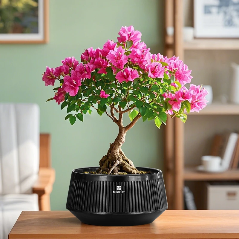 Thumbnail 3 - #14 Best Garden Pot Saucers & Trays to Buy In 2026