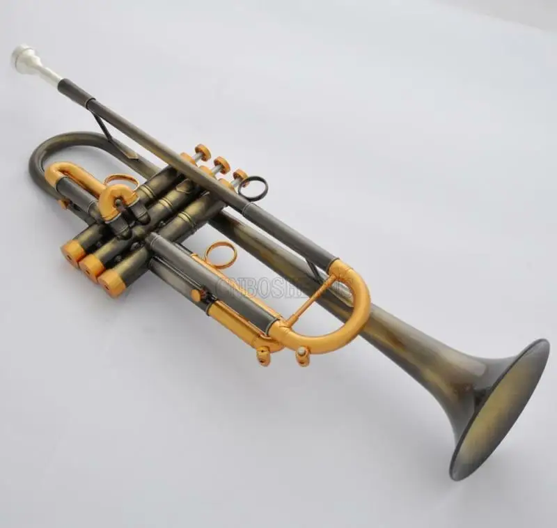 

Professional Antique Trumpet Horn Monel Valve With case