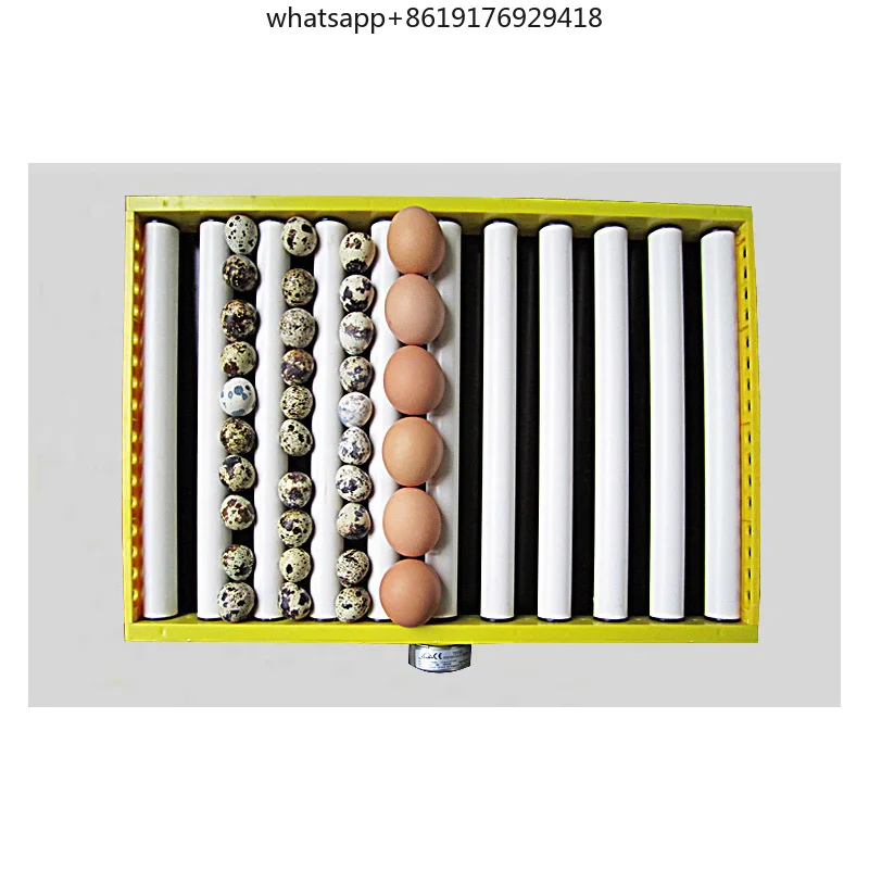 528 بيضة سعة كبيرة حاضنة بيض الدجاج تربية الدواجن حاضنة أوتوماتيكية للدجاج البيض