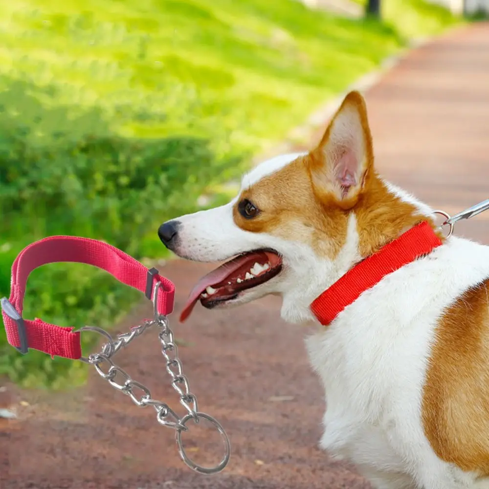 Practical Adjustable Dog Slip Pinch Collar Metal Nylon Dog Training Collar with Chain Dog Leash Necklace Training