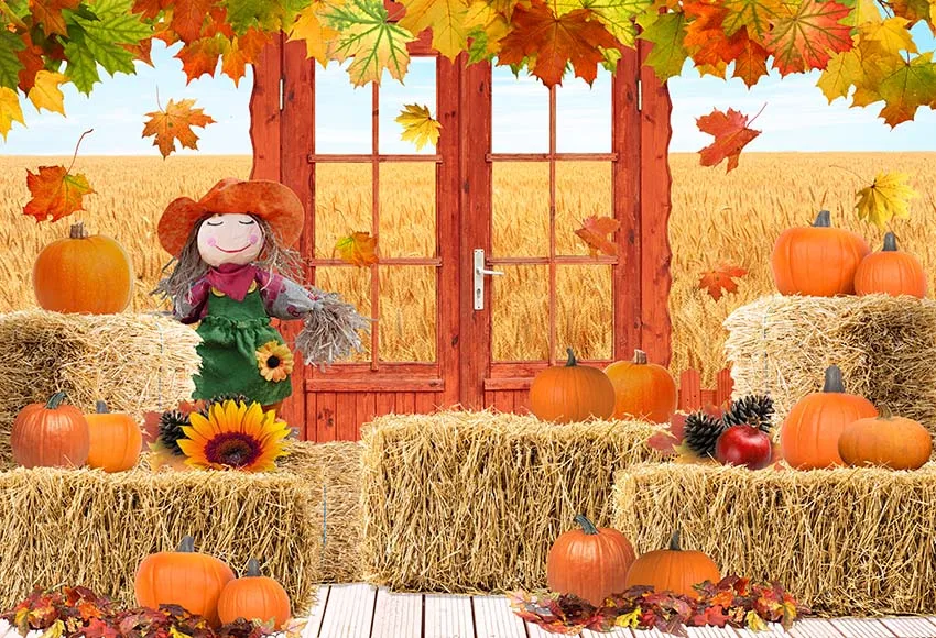 Autumn Farm Harvest Field Pumpkin Haystack Barn Newborn Portrait Fall Light Scenery Photography Backdrop Photo Background Studio