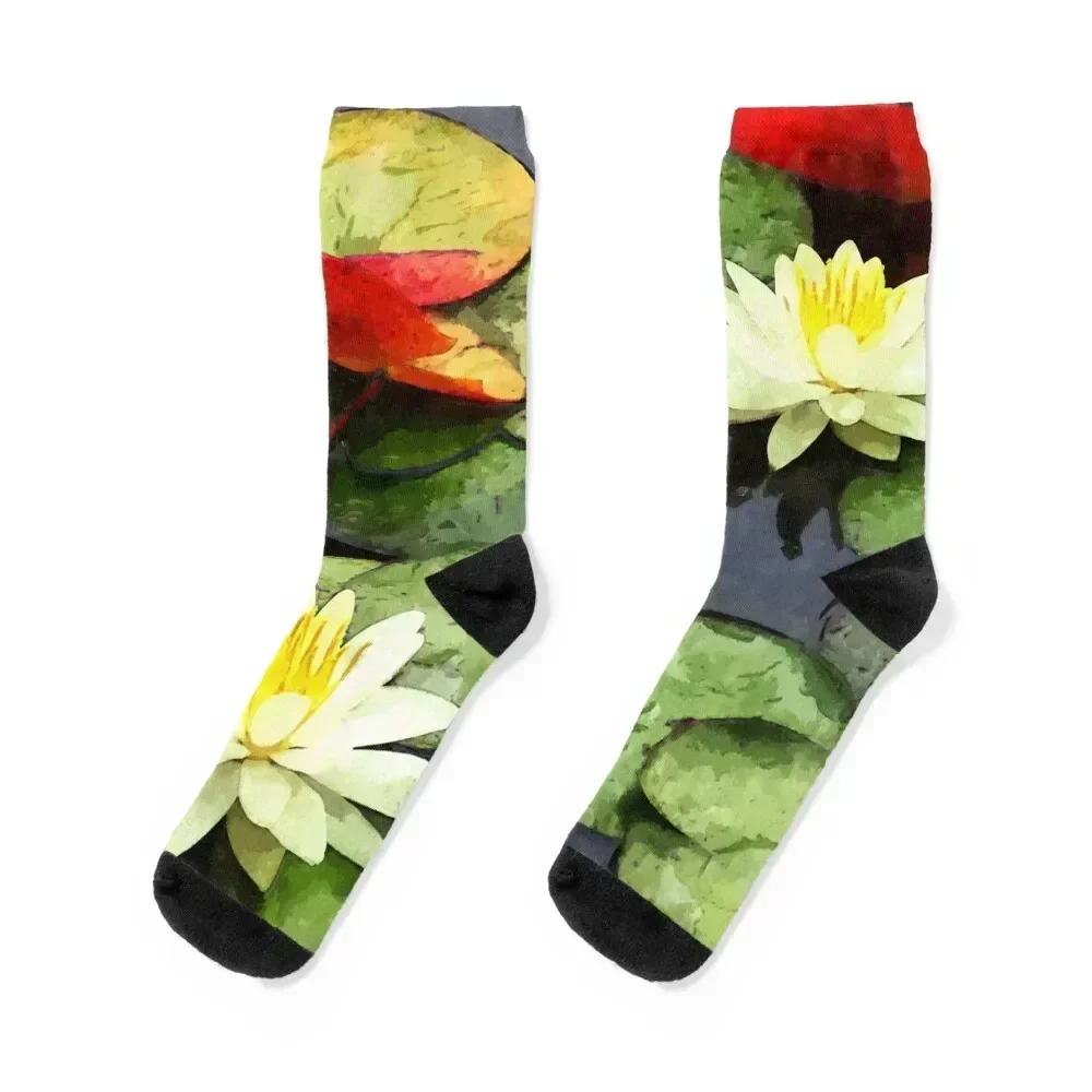 Water Lily Pond in Autumn Socks loose anime tennis Socks Men's Women's