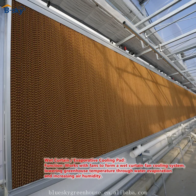 Professional Multi Span Glass Greenhouse Manufacturer for Agricultural Greenhouse Projects
