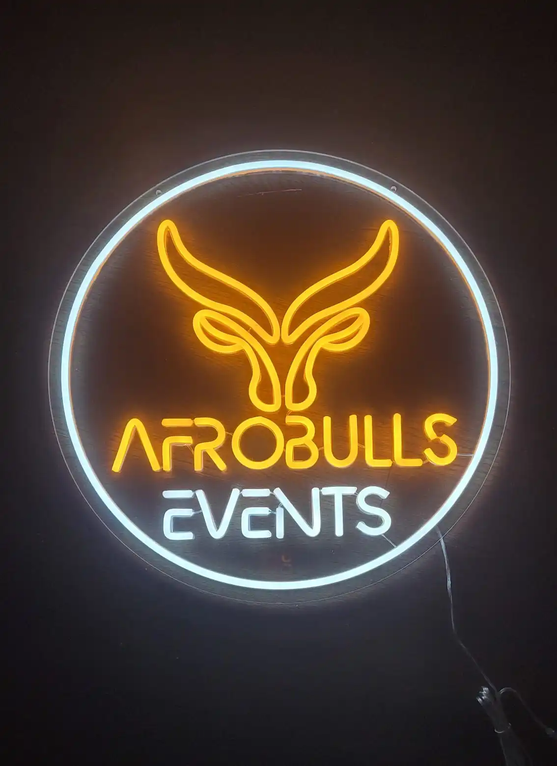 Personalized LED Neon Sign Custom Neon Signs For Birthday Party Wedding Decoration Bar Busines Logo Bedroom Wall Neon Lighting