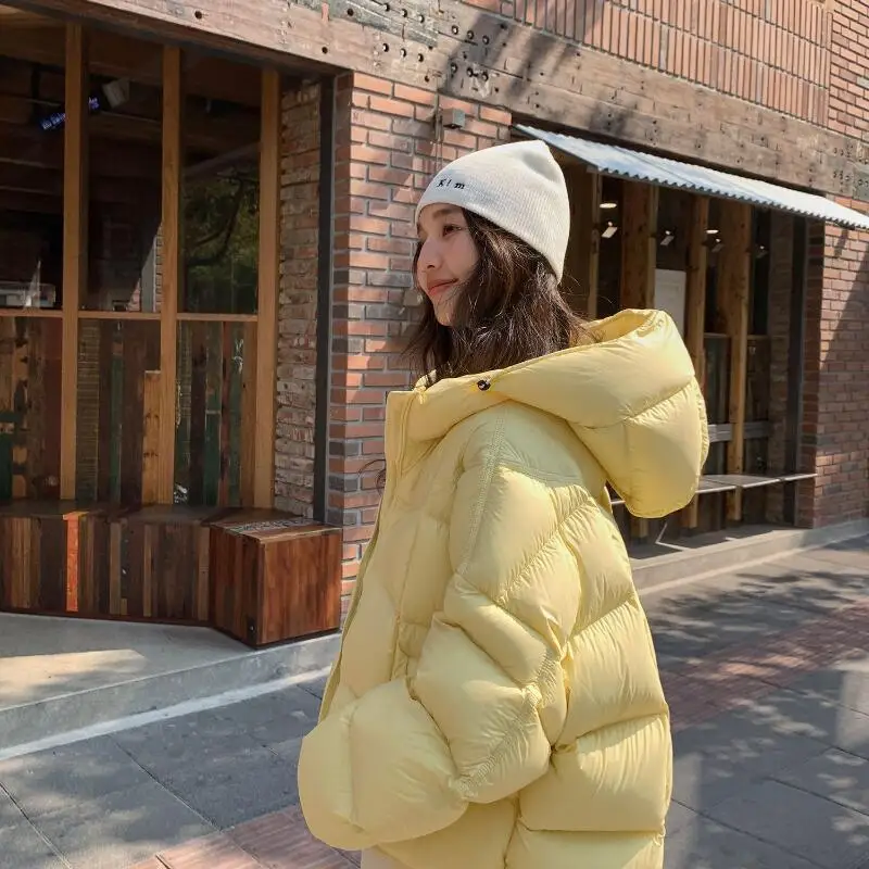 Veste rembourrée pour femme, tenue quotidienne d'extérieur, bouffante en coton, nouvelle collection hiver, polyvalente, Super beau, style court