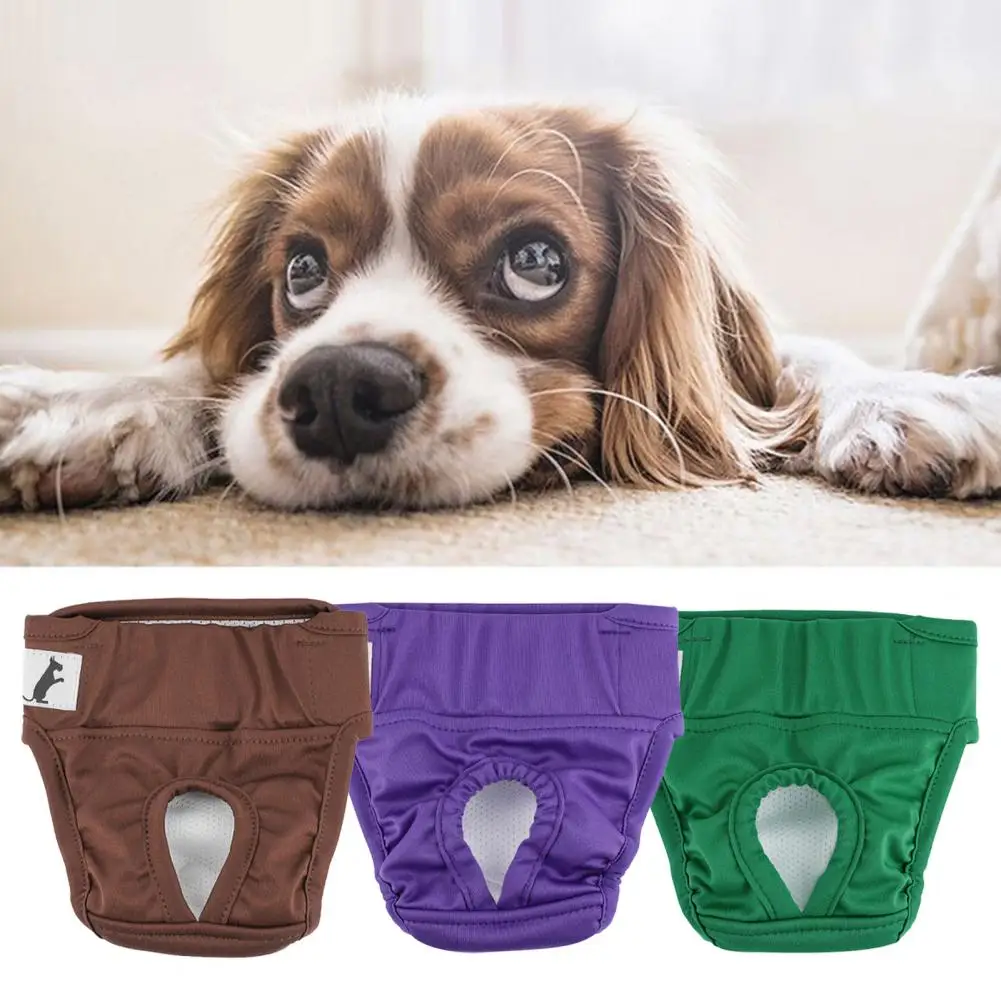 Pet Menstrual Pants Fastener Tape Comfortable Leak-Proof Dog Diaper For Periods Incontinence Potty Training