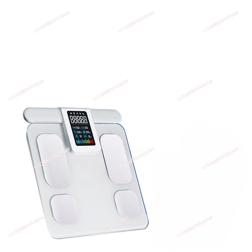 Body Data Intelligent Scale, 8-electrode Digital