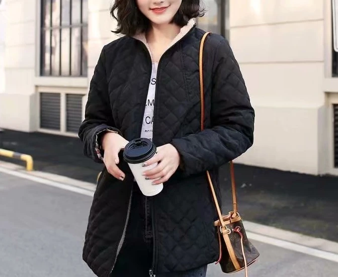 

Women's Coat Stand Collar and Zipper Front Water-Resistant Outer Fabric Ideal for Casual Winter Daily Commutes