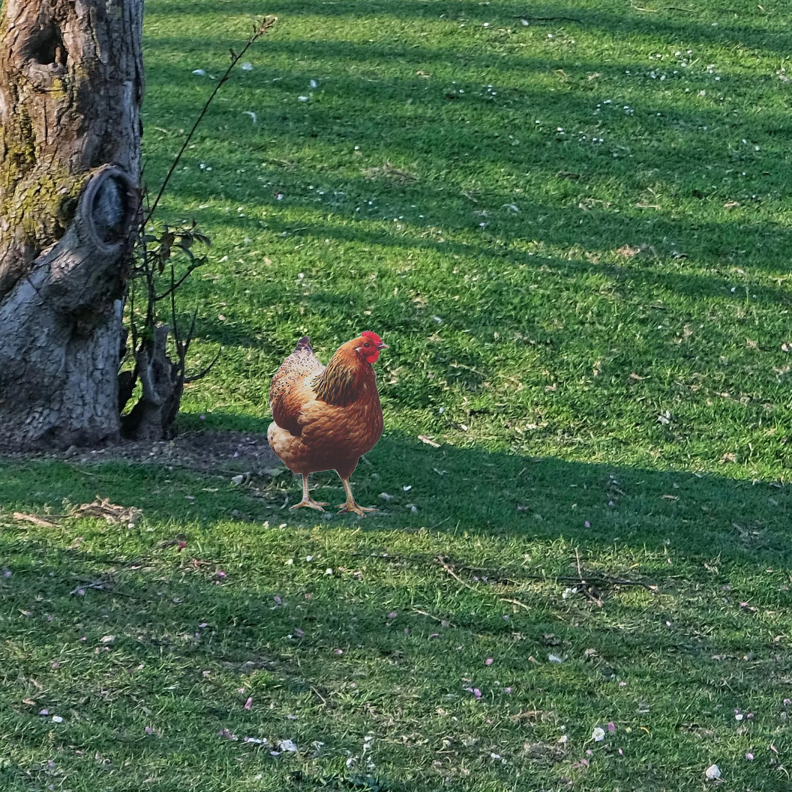 

Funny Lawn Ornaments Acrylic Chicken Stakes Durable Waterproof Garden Decor Versatile Easy Installation Year-Round Use
