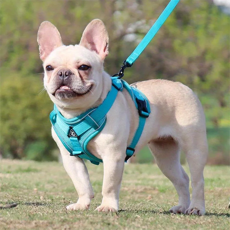 Zugsicheres Hundegeschirr und Leinen-Set, Verstellbares Haustiergeschirr für Kleine Hunde und Katzen, Reflektierendes Hundebrustgeschirr zum Spazierengehen – Detail 9