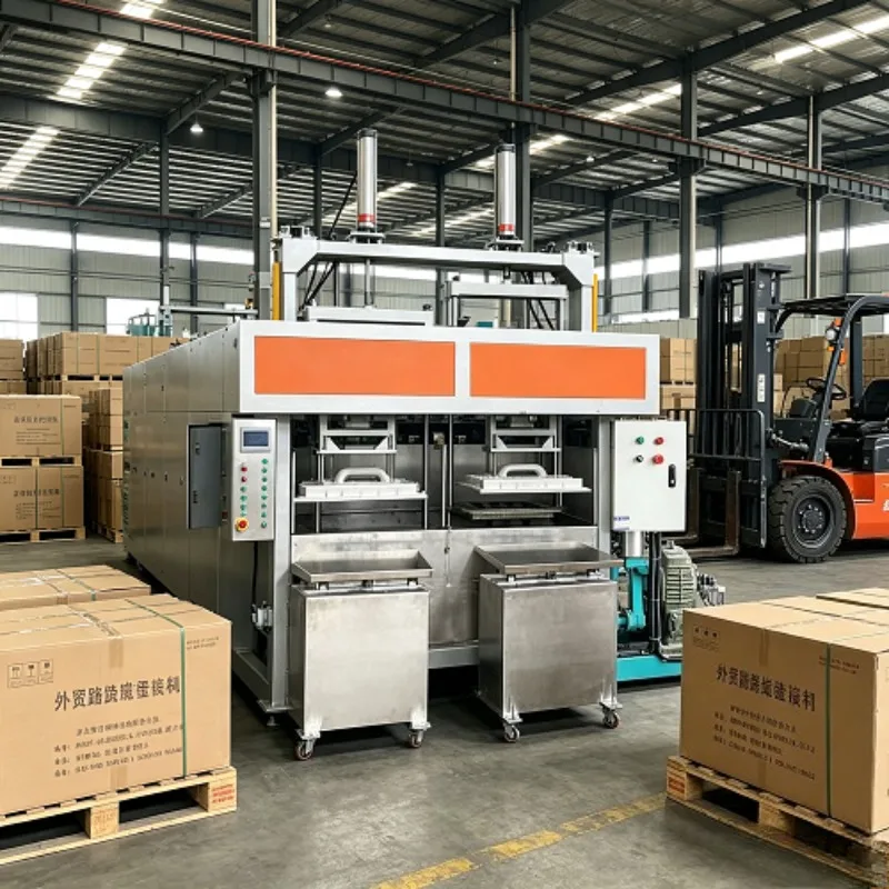 2025 Hot Sale Automatic Egg Tray and Box Machine Factory Directly Sale