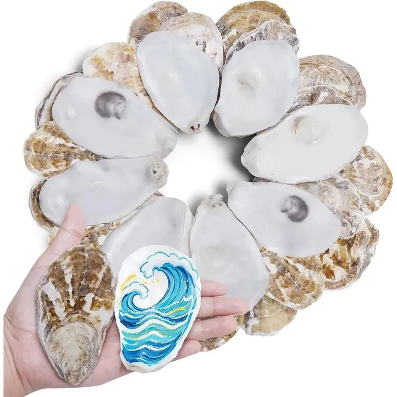 ABYN-For Crafts, Decoupage& Beach Wedding Decor 30PCS Flat Oyster Shells, Natural Seashells For Christmas Ornaments