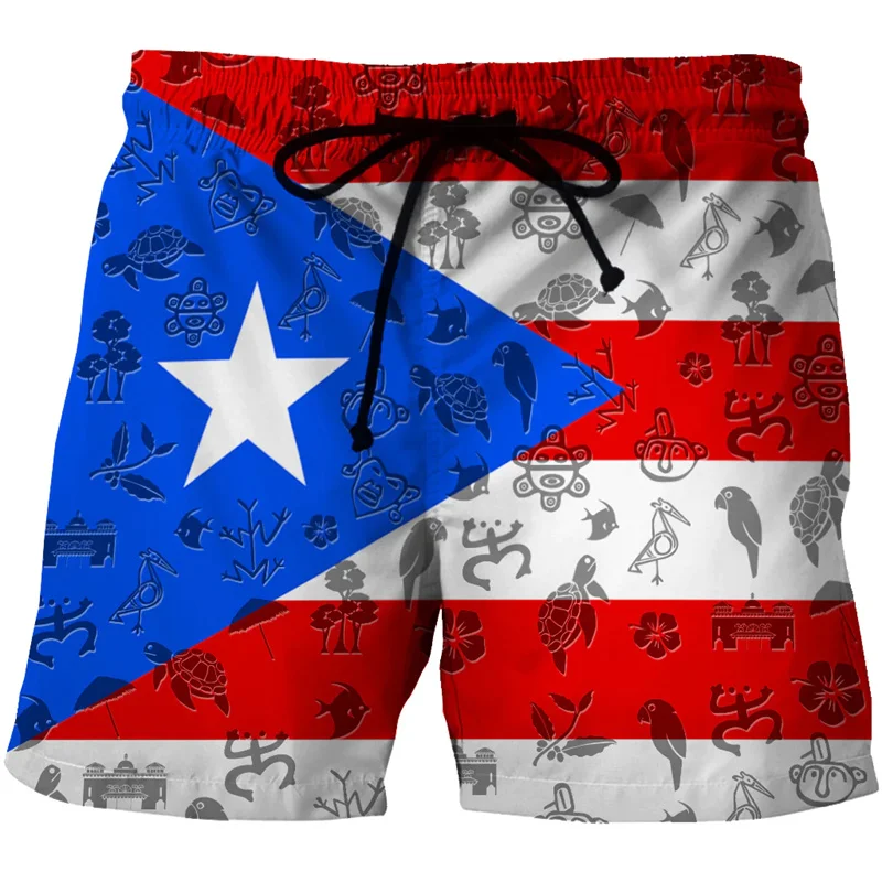 Pantalones cortos de playa con estampado 3D de Puerto Rico para hombre, bañador con patrón de bandera de Puerto Rico, tabla de Surf, secado rápido,