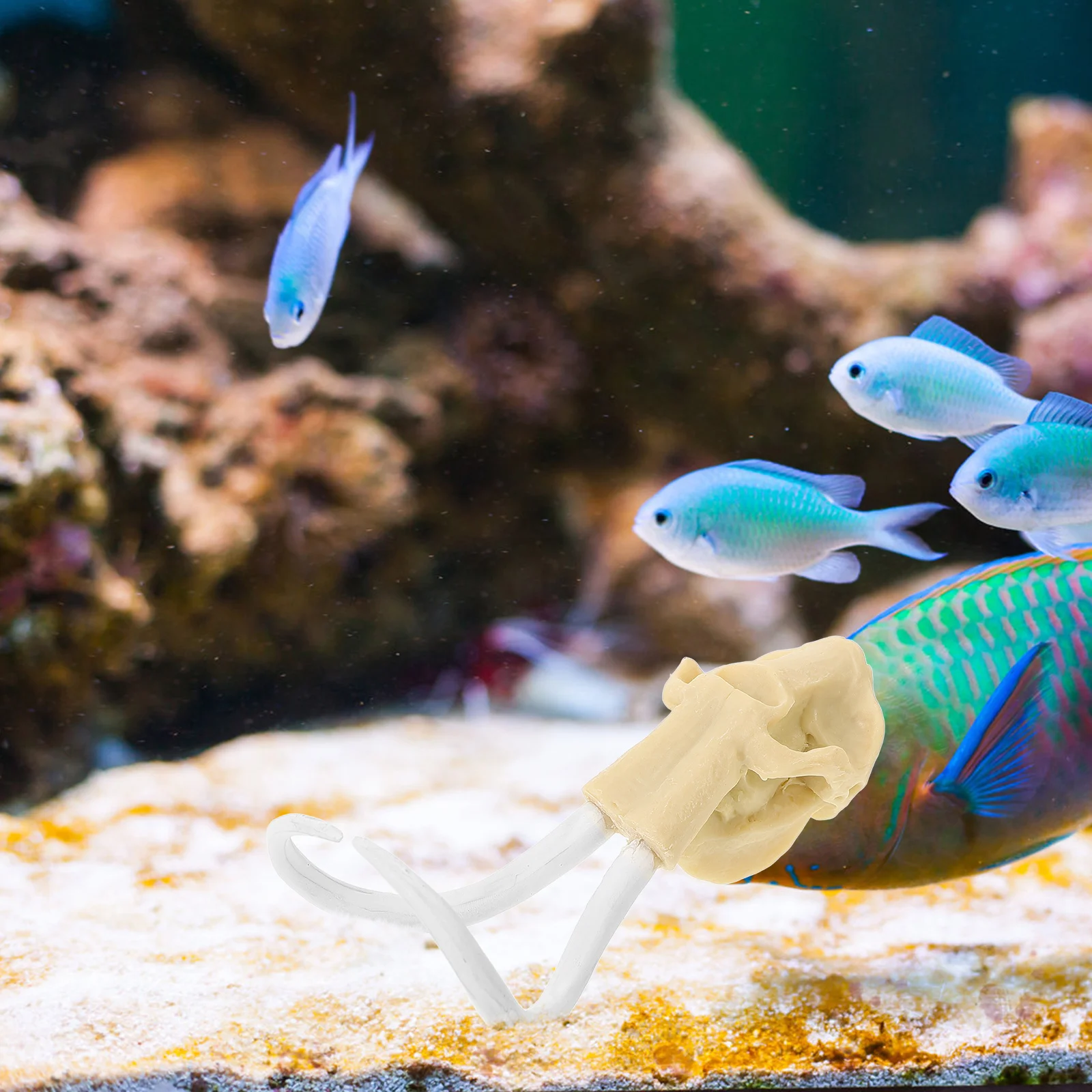 

1Pcs Resin Skull Aquarium Adornment Selected Material Not Easy to Break Fish Tank Decoration Aquarium Adornment