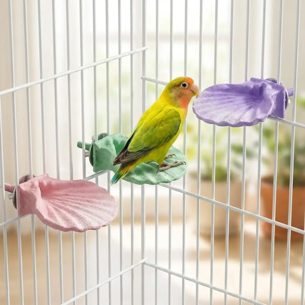 Shell Shape Parrot Perch Stand Non-slip Bite Resistant Bird Chew Grinding Toy Colorful Wear-resistant Bird Teeth Chew Stick