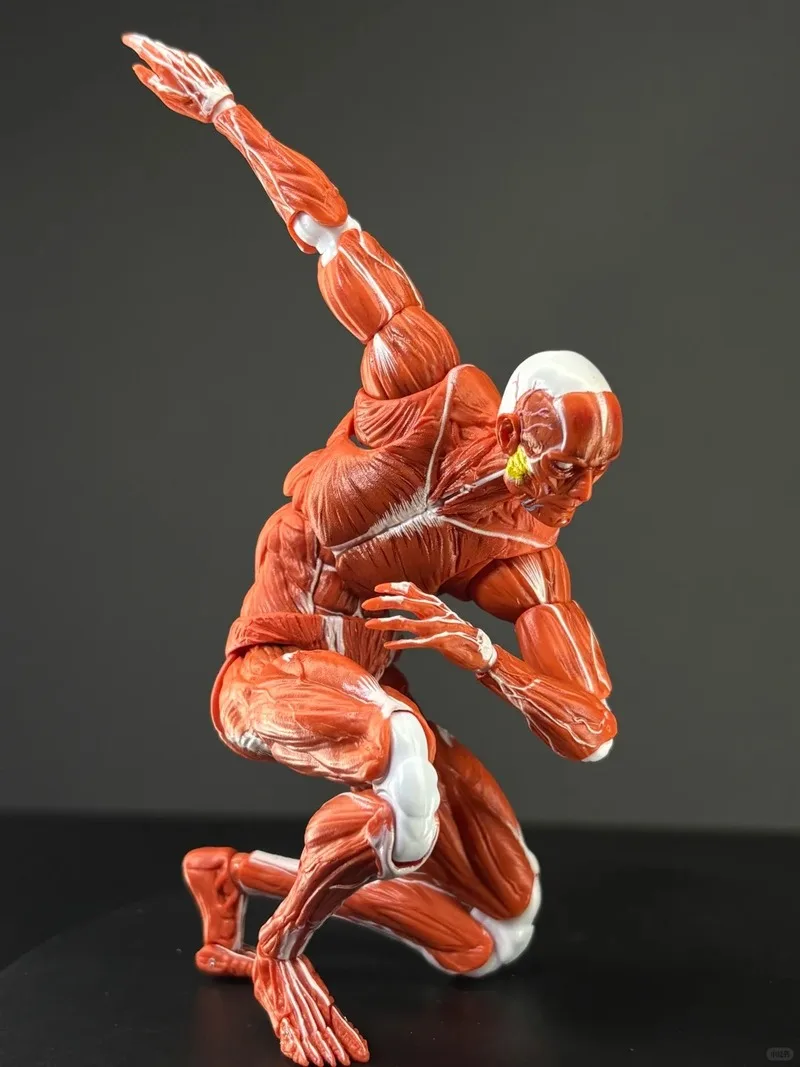 2025 جديد 1/12 مقياس نموذج العضلات البشرية الترا مفصلية الجسم عمل الشكل جمع الديكور الحلي لعبة هدايا عيد الميلاد #2