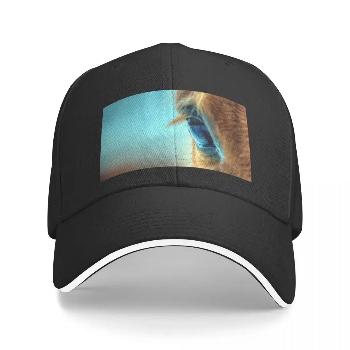 

Horse Eye Baseball Cap Sun Hat For Children Brand Man cap Golf Men Women's