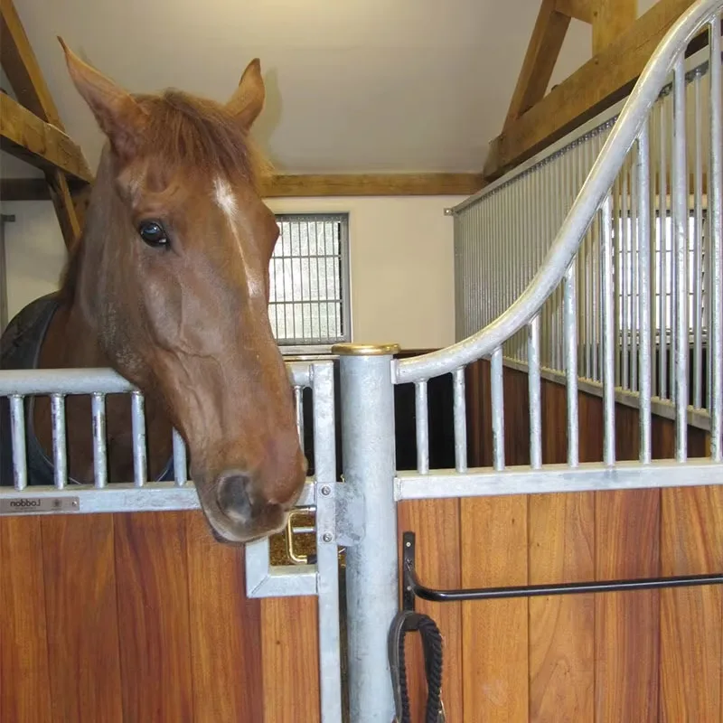 Customization Horse Stable for Race Tracks Equestrian Performance Clubs and Professional Training Arenas with Versatile Structur