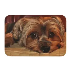 Yorkshire Terrier Yorkie Dog Front Door Mat Anti-Slip Quick Dry Indoor Doormat Kitchen Balcony Rug Living Room Entrance Carpet