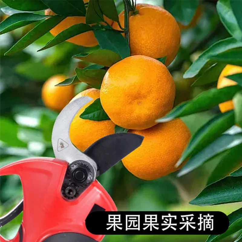 Großer Durchmesser 45 mm, neue kabellose Wiederaufladbare Schere für Gemüse und Obst, Fabrik, bürstenlose Digitalanzeige, Zweiglithi