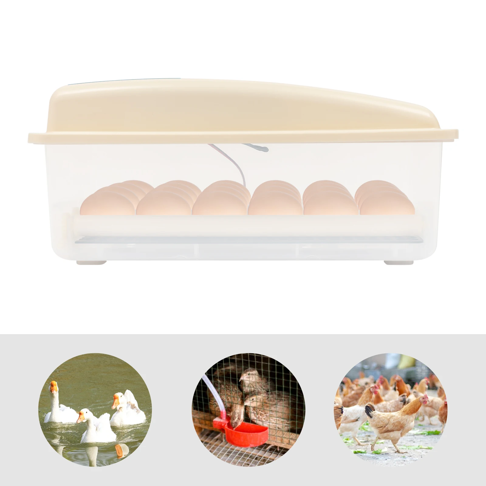 Small Chicken Incubator, Low Noise Automatic Egg Incubator with LED Data Display and Automatic Egg Turning Function