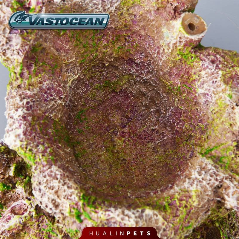 Vastocean Cueva de anémona art - Aquarium Marine Rock reseña y precio