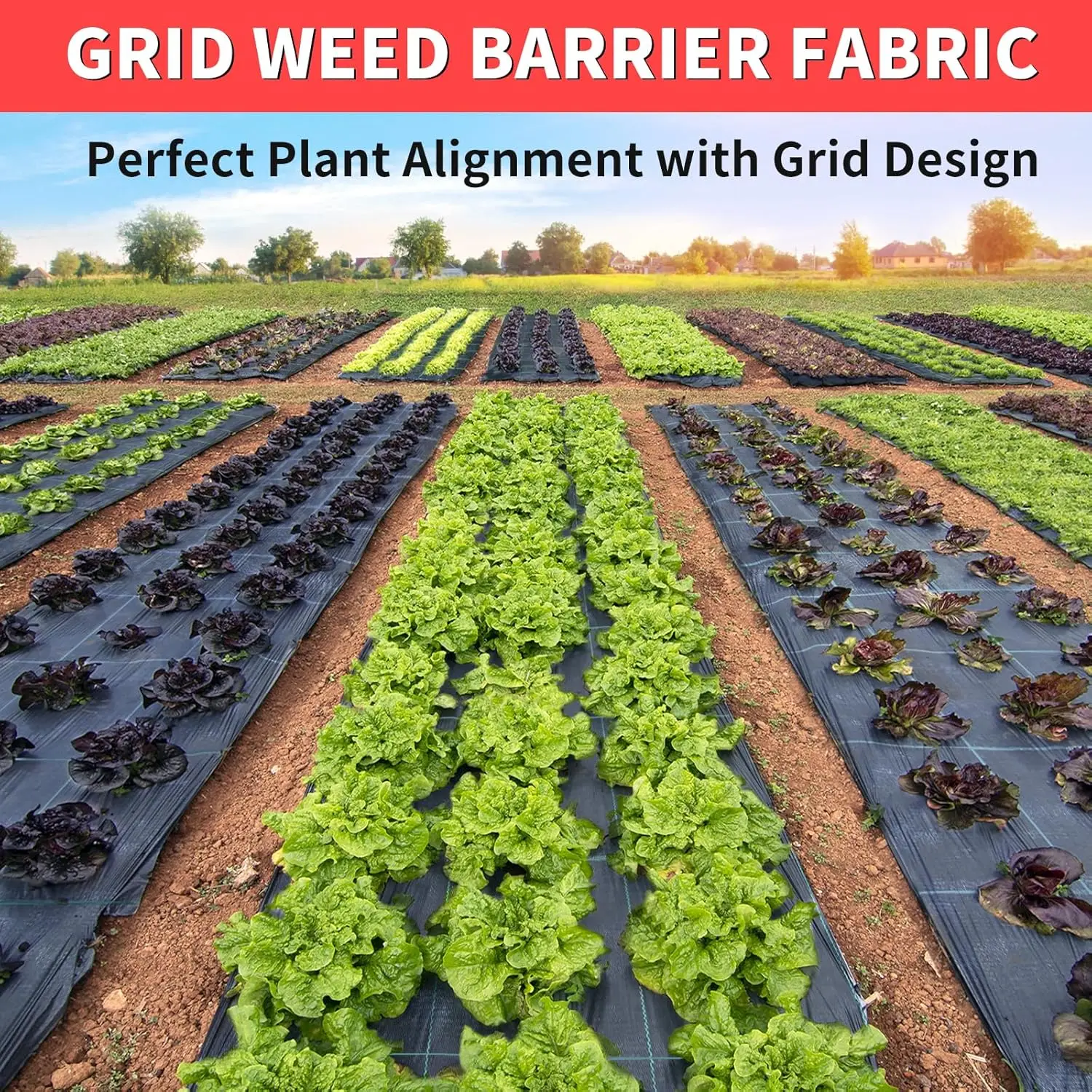 3ft x 300ft Landscape    -Heavy Duty Weed Barrier    for Landscaping, Weed Blocker Cloth,Geotextile    for Garden, Drive