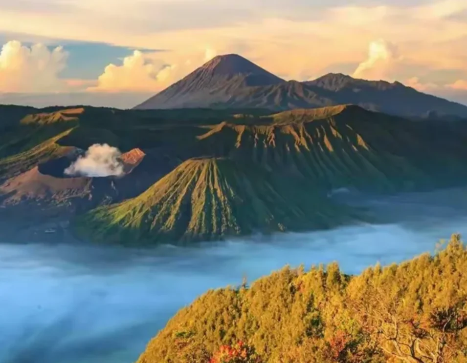 

Радиоуправляемый автомобиль 9500E 9501E в масштабе 1:16, высокоскоростной багги с 4WD, вездеход на гусеничном ходу с мощным двигателем