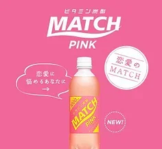 

RC Car Remote Control Storage Hand Bag for 1/10 1/8 Crawler TRX-4 TAMIYA 42358 TRF RC Model Car Storage Bag