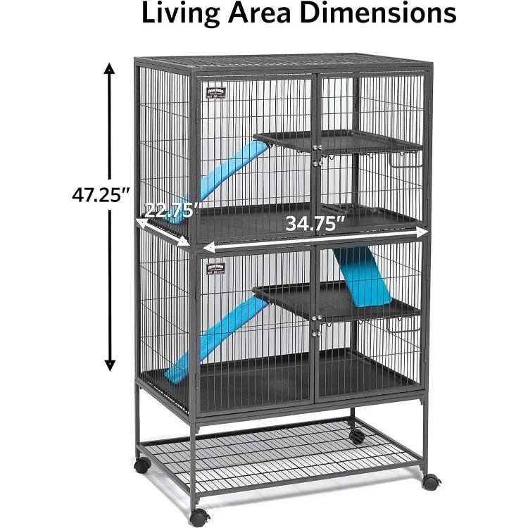 Unidade de história dupla da Ferret Nation 182