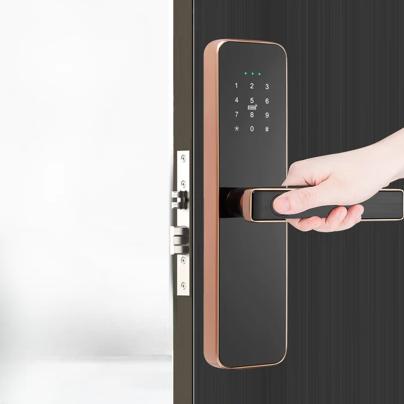 Multi Language Security Digital Gate Smart Home Electronic Door Lock