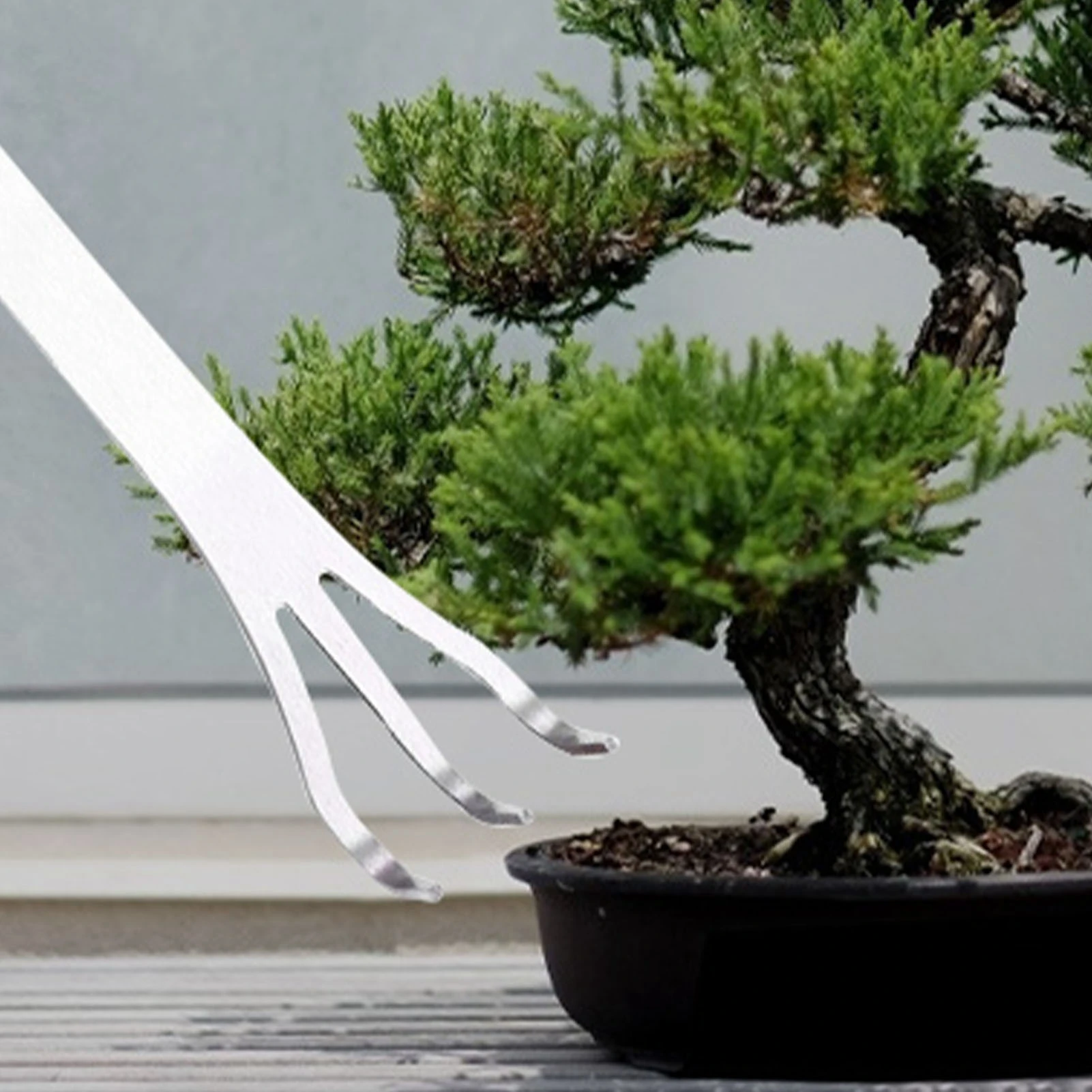 Stainless Steel Root Rake 3-Prong Loosen Soil Bonsai Tree Tools with Ergonomic Handle