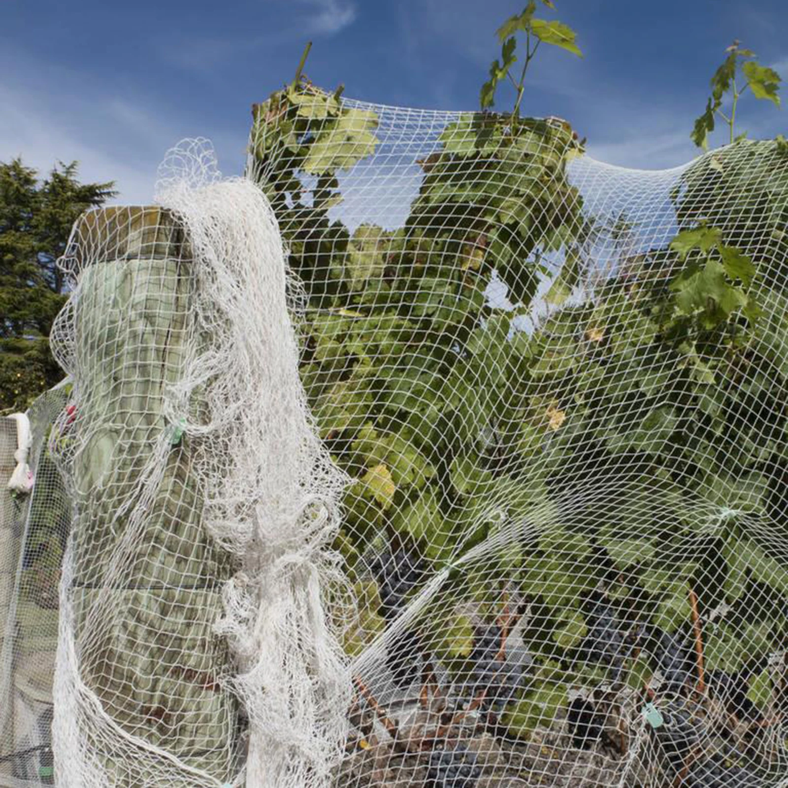 

Plant Climbing Net Heavy Duty Gardening Trellis Netting For Tomatoes Vines Support Greenhouse Outdoor Garden Tool