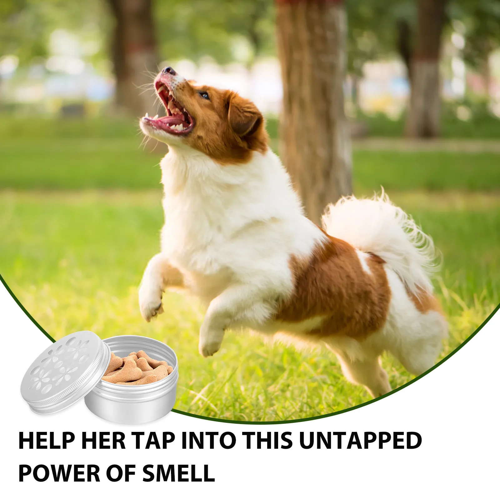 10Pcs Aluminum Dog Scent Training Boxes for Nose Work Sniffing Games Odor Detection Practice Scent Training Kit for Dogs