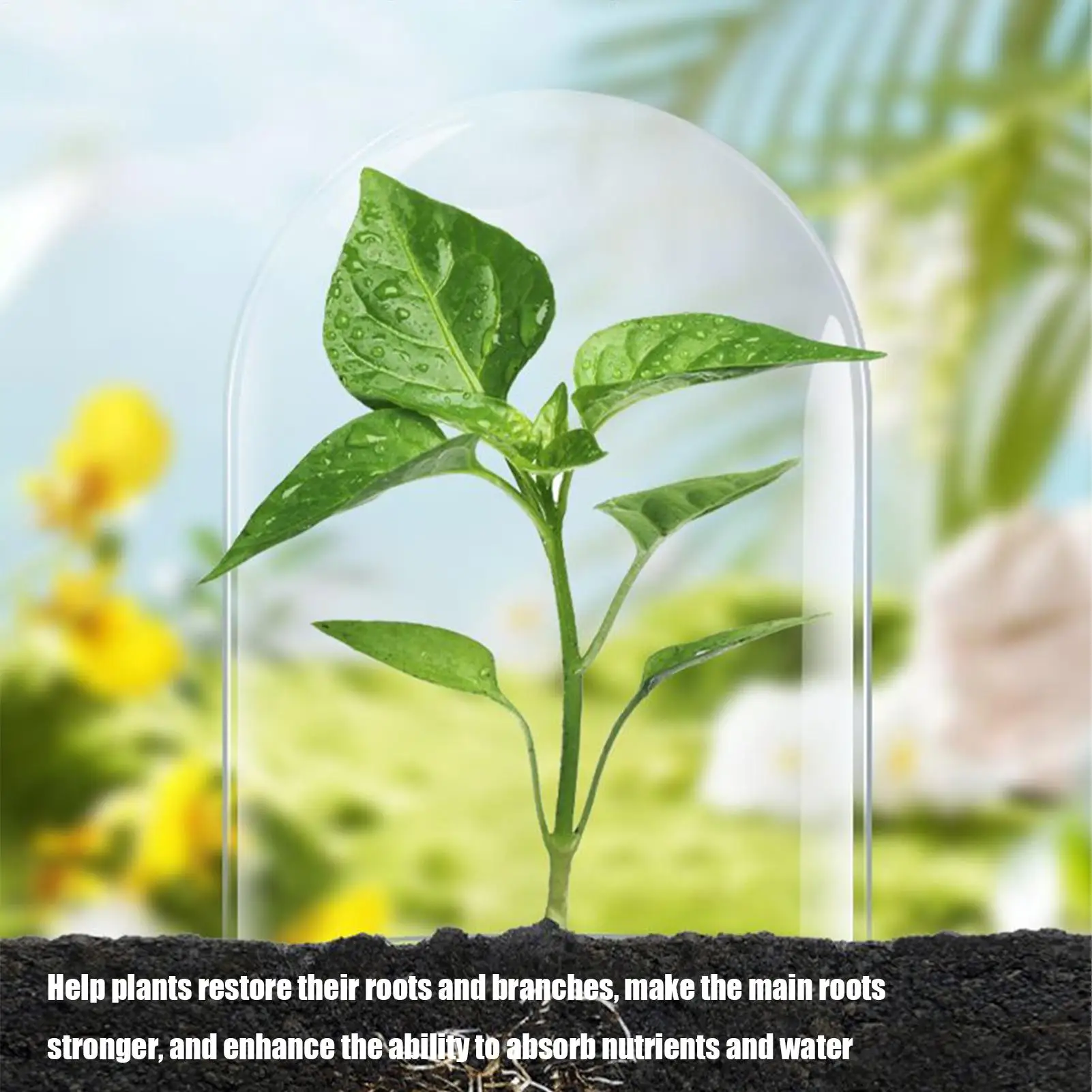 Root Stimulator for Plants Liquid Rooting Agent 50ml Organic Natural Soil Compost Solution Quick Growth Nutrient for Rose Fruit
