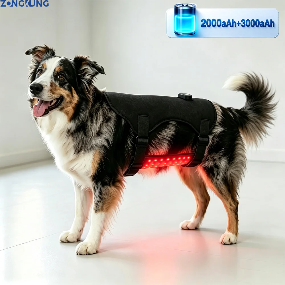 Pet Red Light Recovery Device LED Light Source Relieve Pain Infrared Light Physiotherapy Device for Dogs Cats with Back Waist