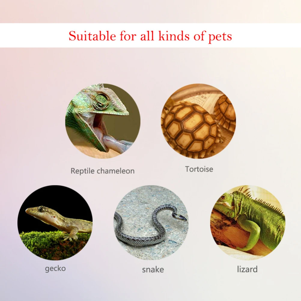 

6Pcs Digital Temperature Humidity Meter Portable Hygrometer Thermometer Lightweight Thermometer Hygrometer for Reptile Pet Box