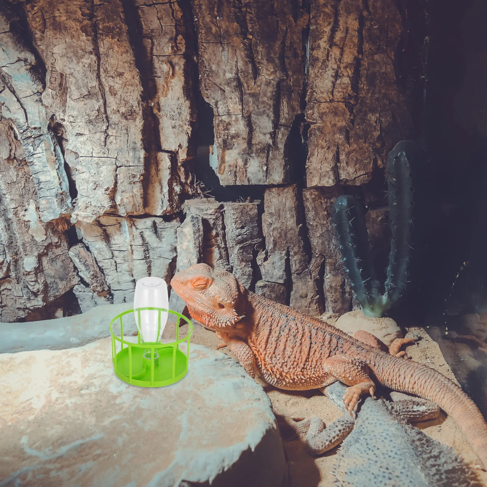 

Automatic Reptile Water Dish Durable Turtle Bowl For Lizard Bearded Dragon Tortoise Pet Feed Holder Decorative Food Dish Easy