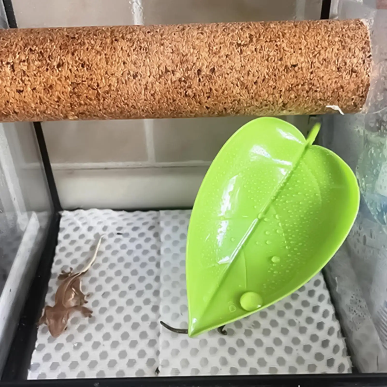 Turtle Tank Basking Stand Reptile Climbing Platforms Simulated Leaves Suction Cups Habitat Terrace for Turtles Dwarf Frogs view 6