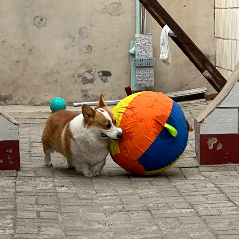

Портативные мячи для собак: прочные, безопасные, для игр, тренировок, игр в воде, на улице, для агрессивных собак и щенков
