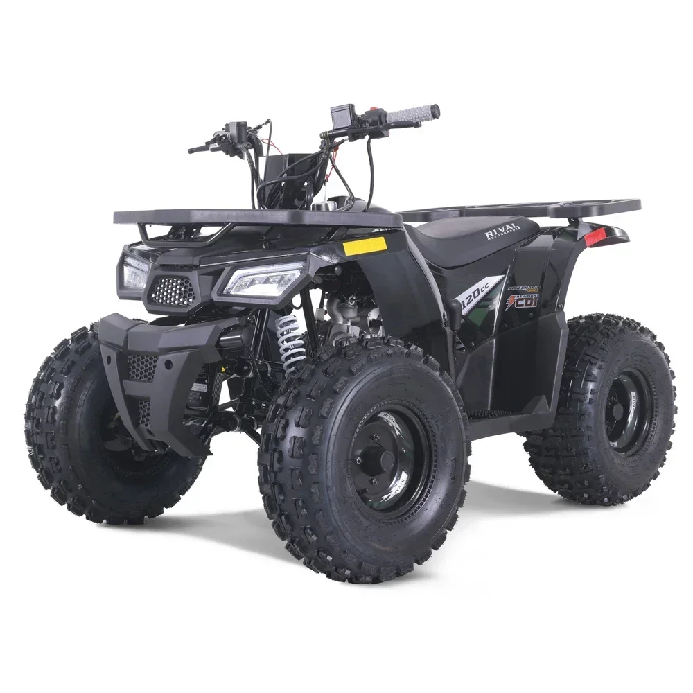 2024 New Cheap ATV Kids 110cc Automatic Chain Drive ATV