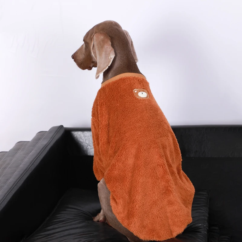 Imagem -05 - Roupas de Inverno Hoodie Trajes Poodle Corgi Samoiedo Husky Labrador Golden Retriever Weimaraner Malinois Belga