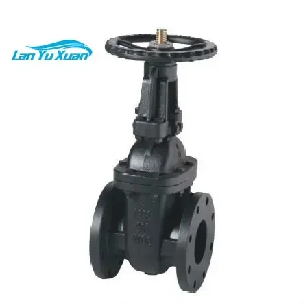 MSS SP-70 CLASS 125 OS&Y صمام بوابة حديدية مصبوب صمام صيني مباشرة #4